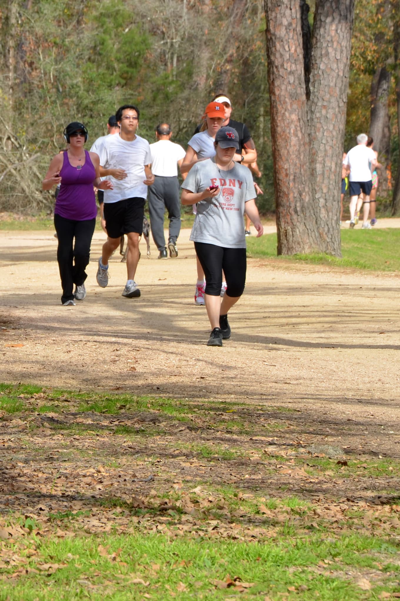 Memorial Park Picnic Loop